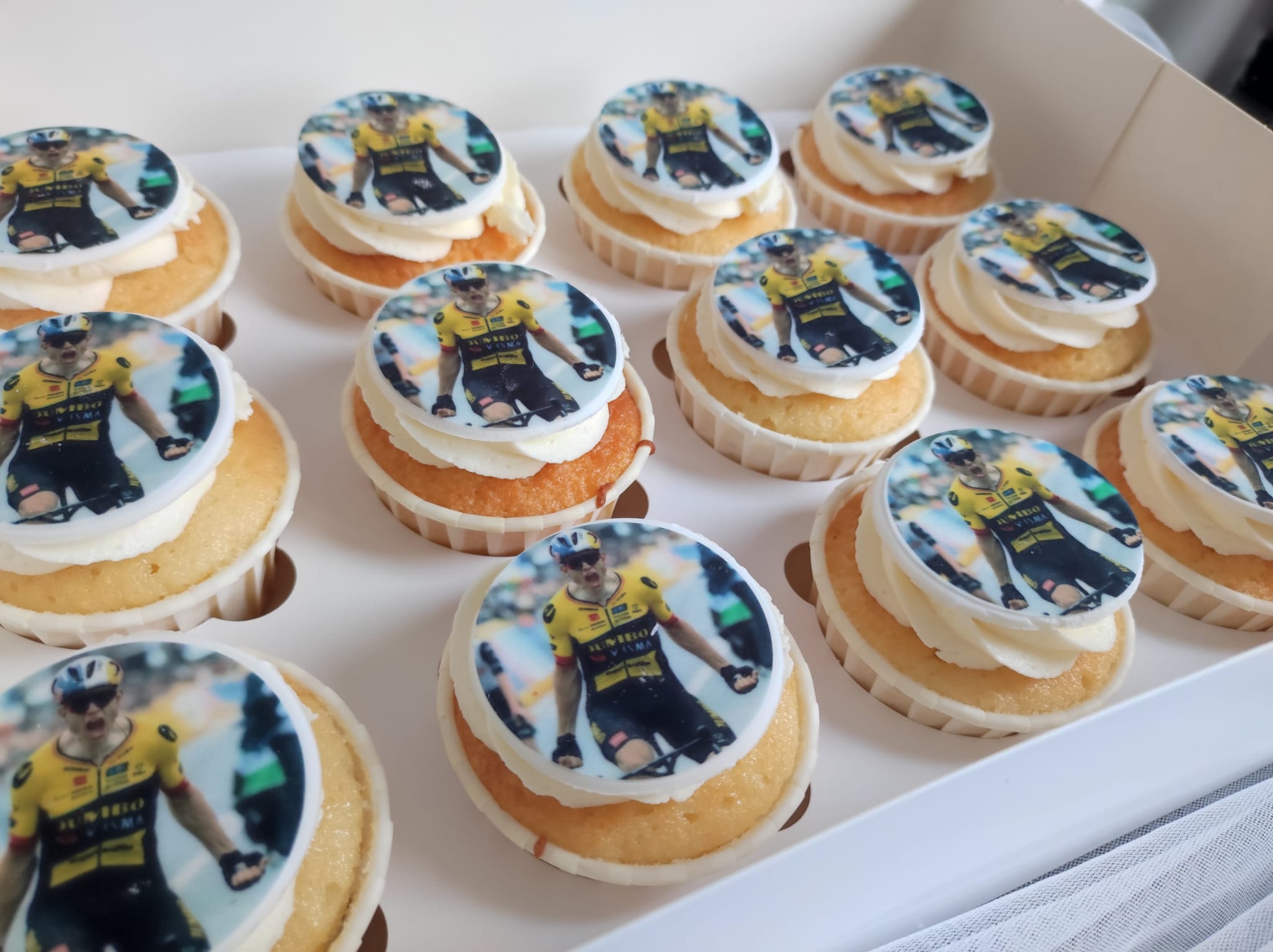 Cupcakes - Wout - Judy's Bakeaway